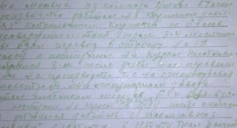 Биографический поиск